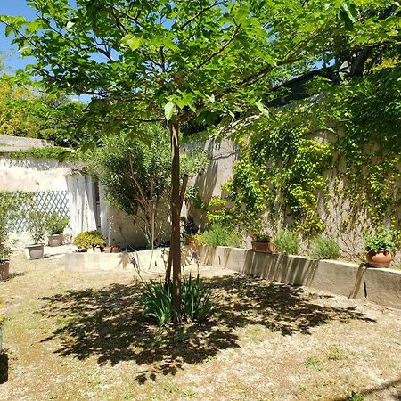 Appartement Au Coeur De Cassis Avec Jardin Exterior foto
