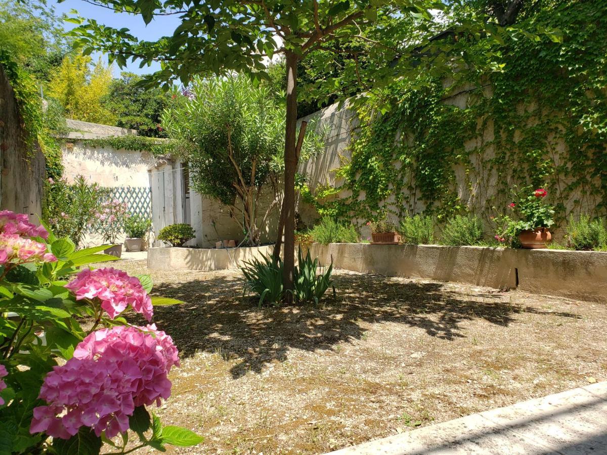 Appartement Au Coeur De Cassis Avec Jardin Exterior foto